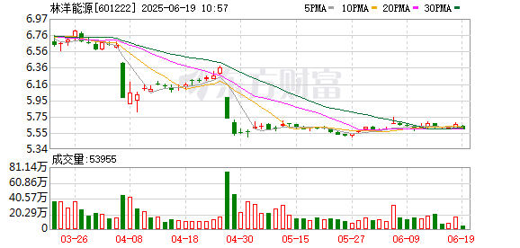 豌豆财富 林洋能源：2025年第一次临时股东会决议公告