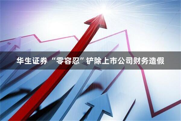 华生证券 “零容忍”铲除上市公司财务造假